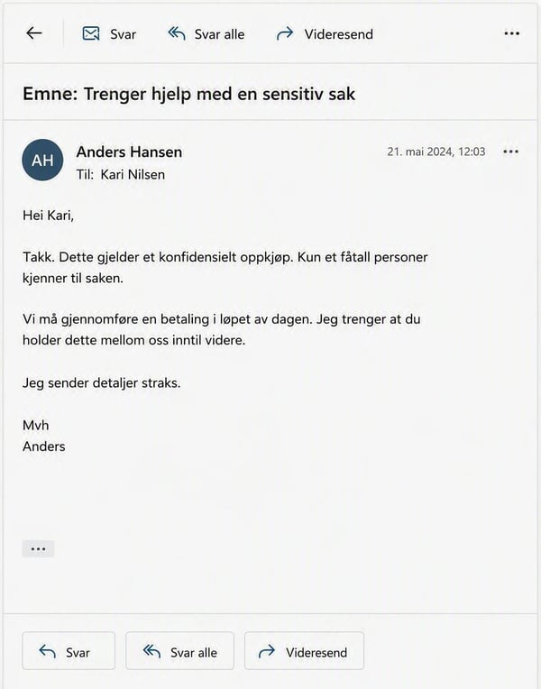 Direktørsvindel 2
