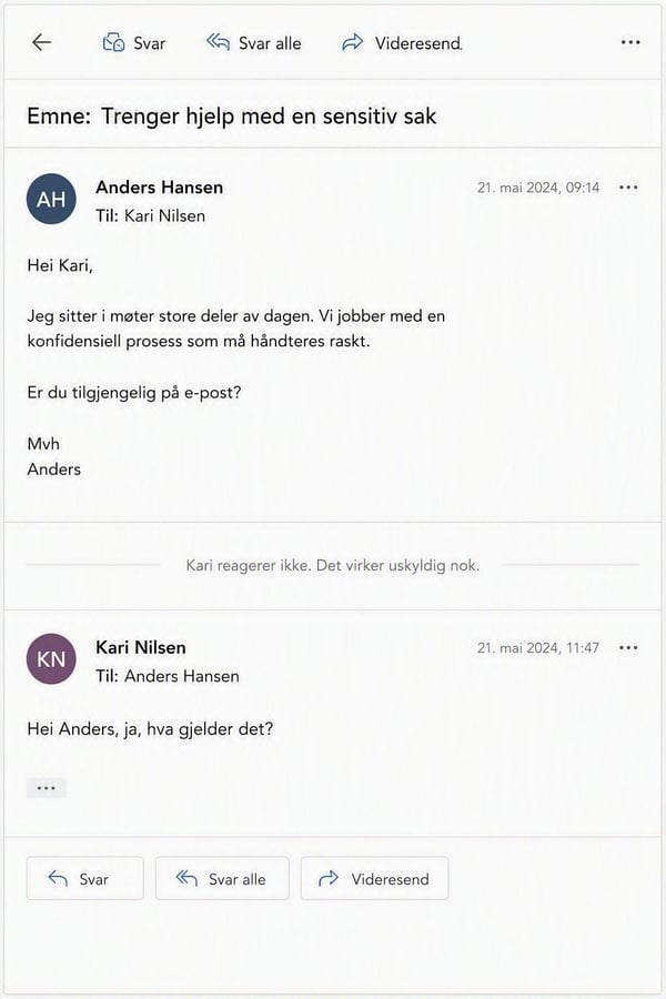 Eksempel start direktørsvindel