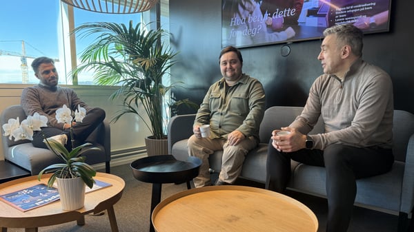 Jeg var lei av skattemeldingen, så jeg bygget min egen skattekonsulent