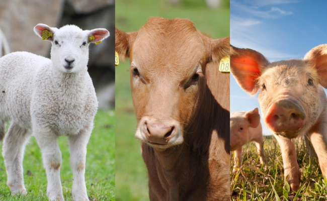 Tusen takk for tilliten, Fatland!