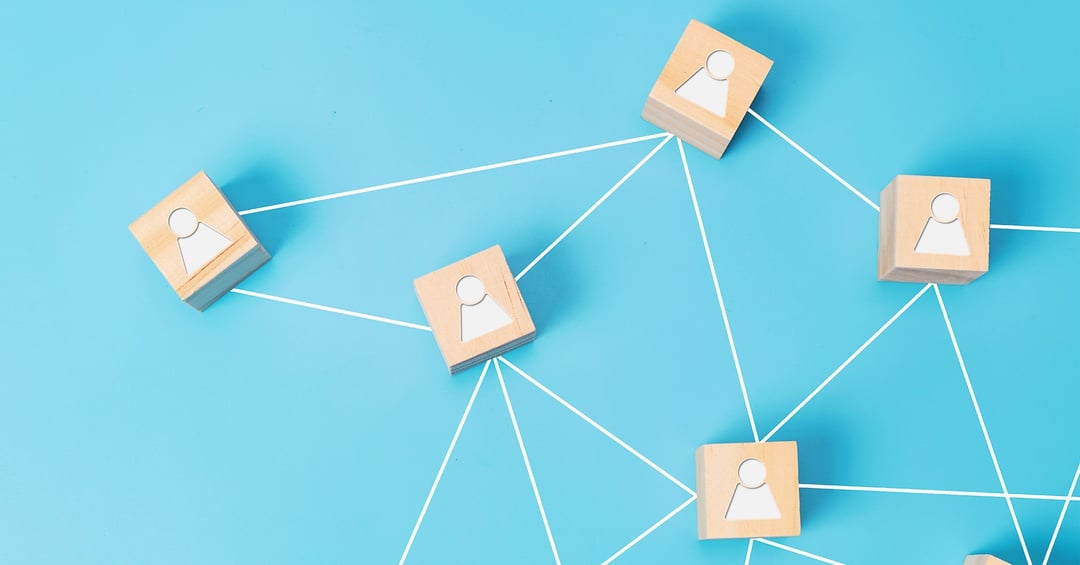 network (1)