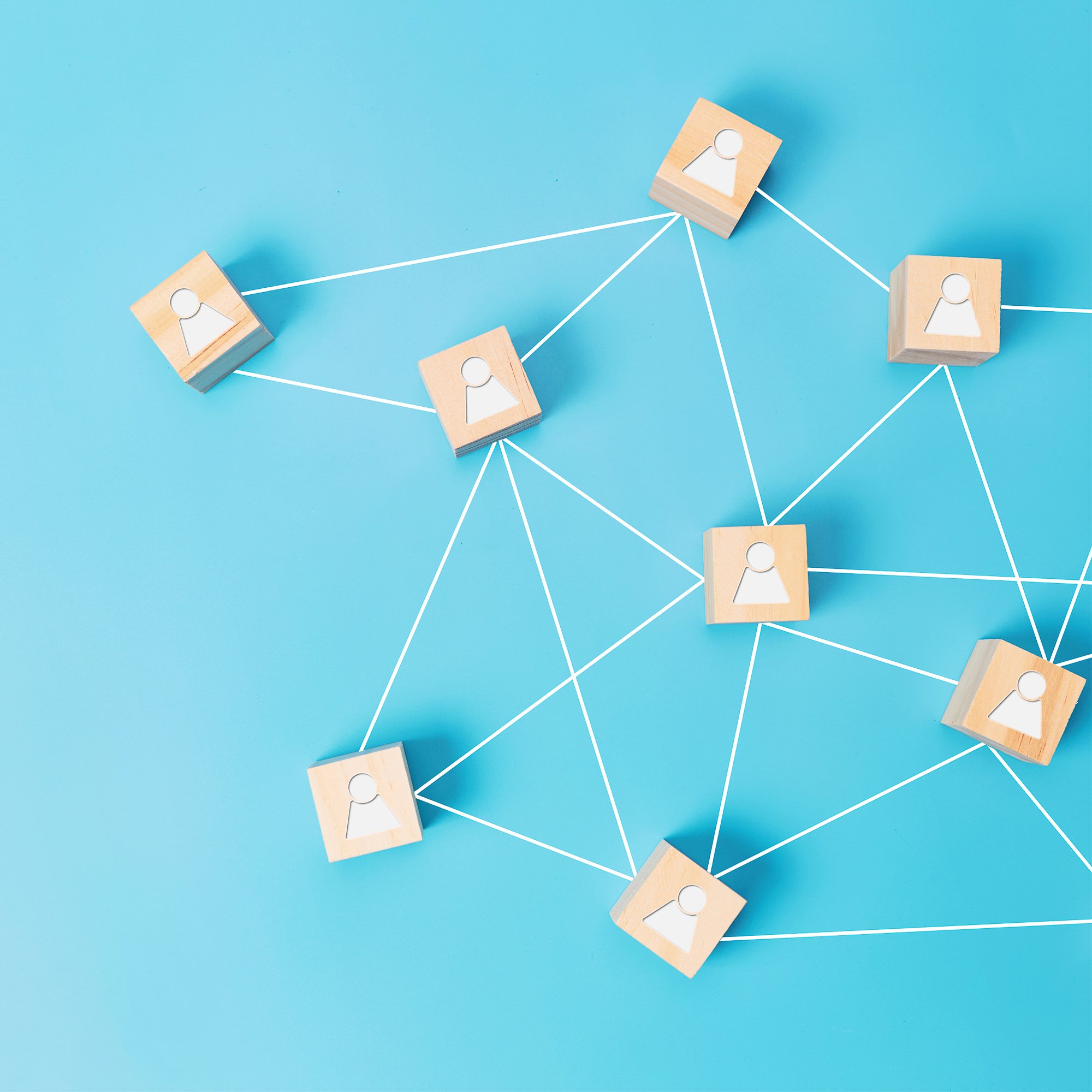 network (1)